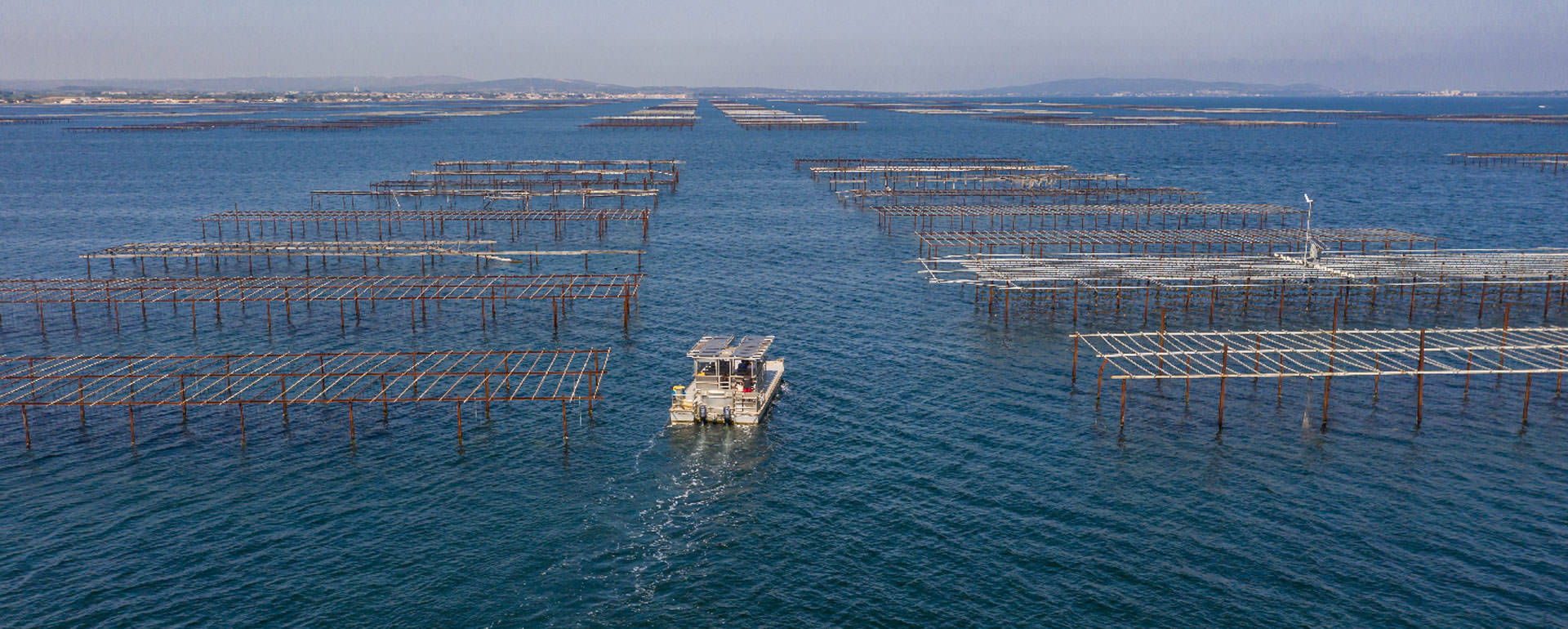 TARBOURIECH MARSEILLAN, Hérault