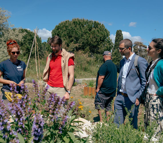Potager du camping des Sablons