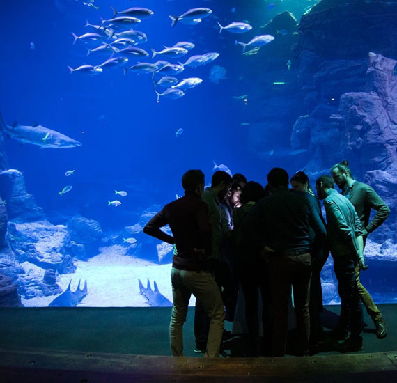 Planet Ocean Montpellier