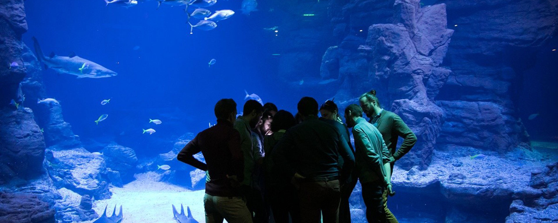 Planet Ocean Montpellier