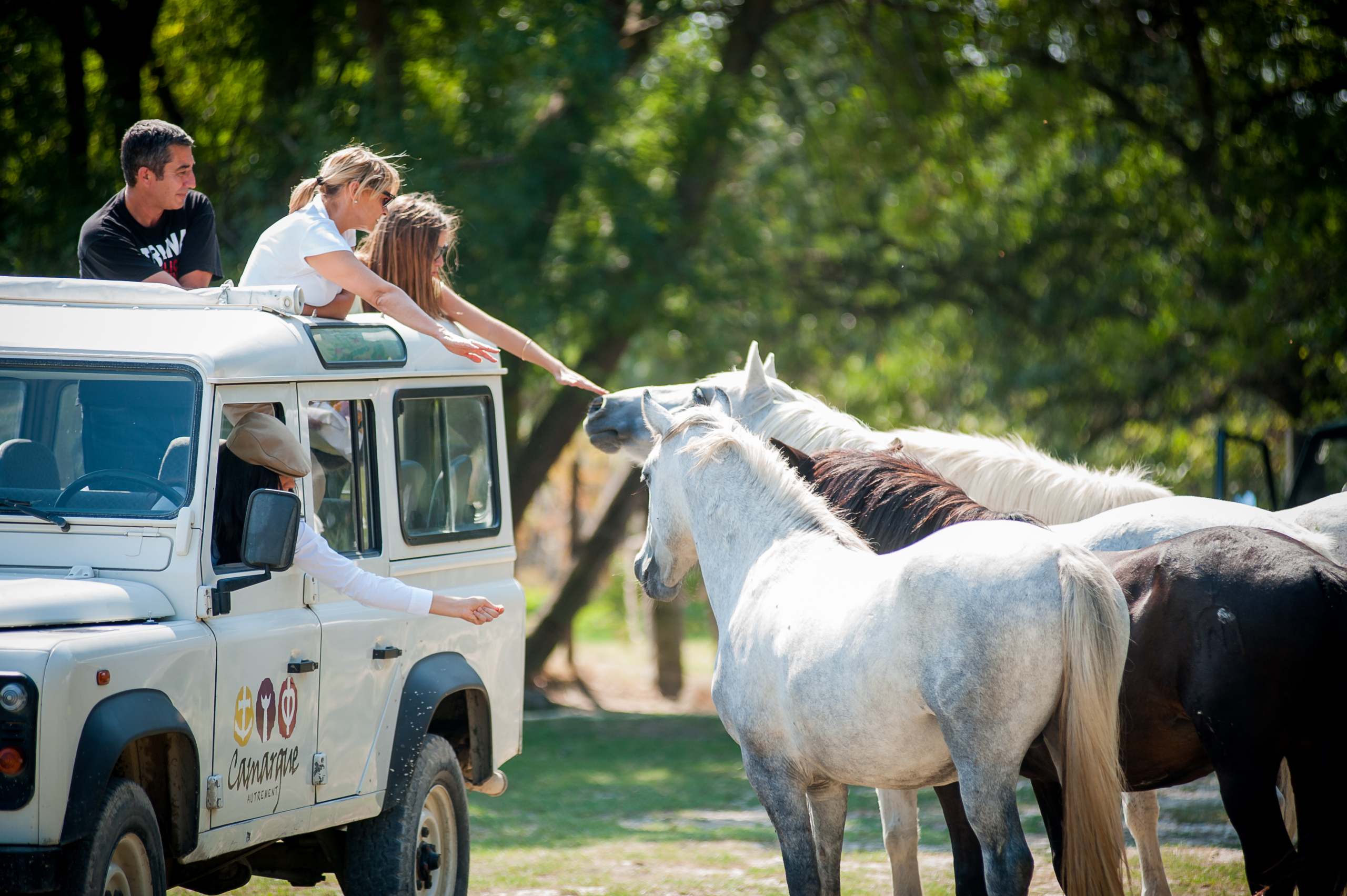Camargue_autrement